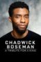 Nonton Film Chadwick Boseman:  A Tribute for a King (2020) Sub Indo