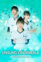 Nonton Film Unsung Cinderella: Midori, The Hospital Pharmacist (2020) Sub Indo