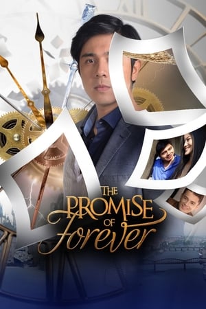 Nonton The Promise of Forever (2017) Sub Indo