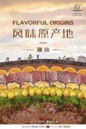 Nonton Film Flavorful Origins S03 (2019) Sub Indo