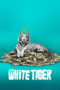 Nonton Film The White Tiger (2021) Sub Indo