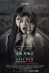 Nonton Film The Twins / Bi An Song Sinh (2016) gt Sub Indo