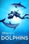 Nonton Film Diving with Dolphins (2020) Sub Indo