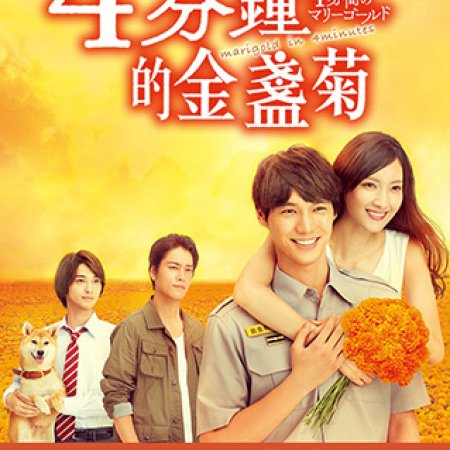 Nonton Marigold in 4 Minutes / 4-Punkan no Marigold (2019) Sub Indo