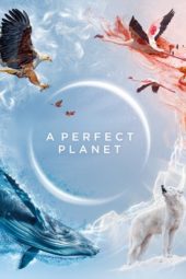 Nonton Film A Perfect Planet S01 (2021) Sub Indo