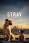 Nonton Film Stray (2020) Sub Indo