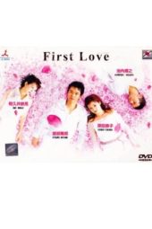 Nonton Film First Love (2002) Sub Indo