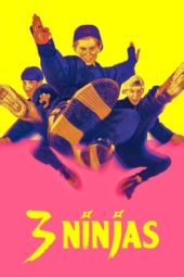 Nonton Film 3 Ninjas (1992) Sub Indo