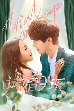 Nonton Trial Marriage (2021) Sub Indo