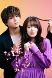 Nonton Film Can’t Run Away from Love (2021) Sub Indo