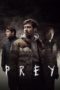 Nonton Film Prey (2021) Sub Indo