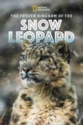 Nonton Film The Frozen Kingdom of The Snow Leopard (2020) Sub Indo