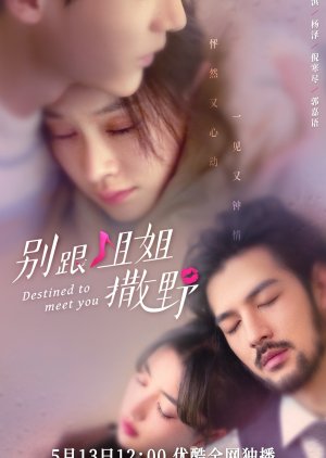 Nonton Destined to Meet You (2022) Sub Indo