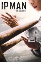 Nonton Film Ip Man: The Awakening (2022) Sub Indo