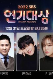 Nonton Film 2022 SBS Drama Awards (2022) Sub Indo