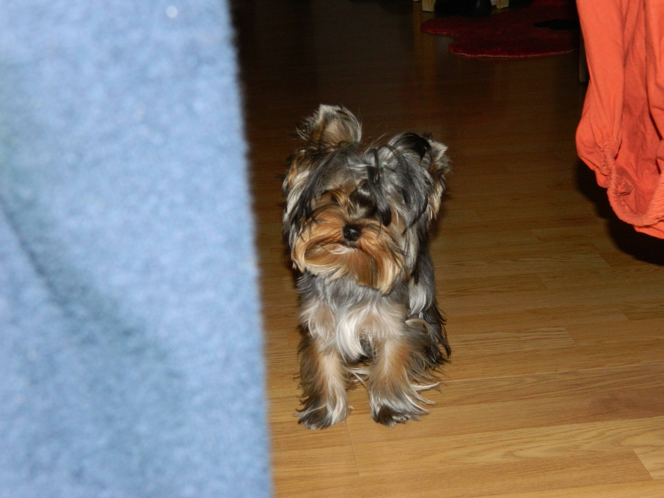 Nonton Film rangkuman drama korea New Heart (2007–08) lengkap Sub Indo