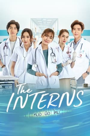 Nonton The Interns (2023) Sub Indo