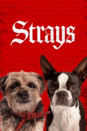 Nonton Film Strays (2023) Sub Indo