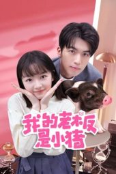 Nonton Film My Piggy Boss (2024) Sub Indo