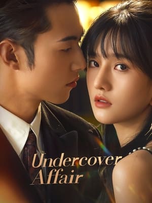 Nonton Undercover Affair (2024) Sub Indo