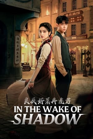 Nonton In the Wake of Shadow (2024) Sub Indo