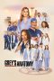 Nonton Film Grey’s Anatomy Season 9 2005 Sub Indo