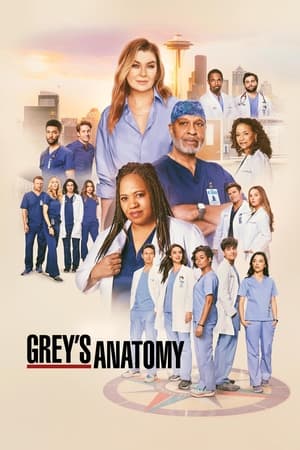 Nonton Grey’s Anatomy Season 9 2005 Sub Indo