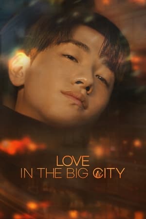 Nonton Love in the Big City 2024 Sub Indo