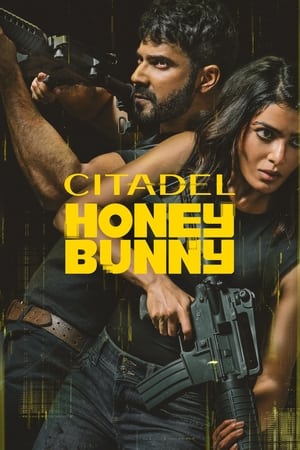 Nonton Citadel Honey Bunny 2024 Sub Indo