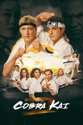 Nonton Film Cobra Kai Season 6 2018 Sub Indo