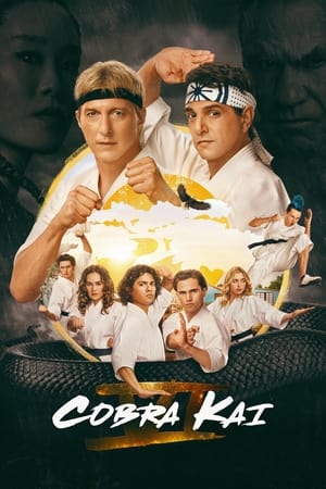 Nonton Cobra Kai Season 5 2018 Sub Indo