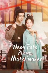 Nonton Film When Fate Plays Matchmaker 2024 Sub Indo