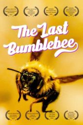 Nonton Film The Last Bumblebee 2024 JF Sub Indo