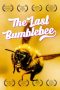 Nonton Film The Last Bumblebee 2024 JF Sub Indo Nonton Film The Last Bumblebee 2024 JF Sub Indo