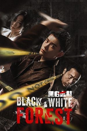 Nonton Black & White Forest 2024 Sub Indo