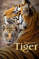 Nonton Film Tiger 2024 JF Sub Indo