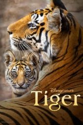 Nonton Film Tiger 2024 JF Sub Indo