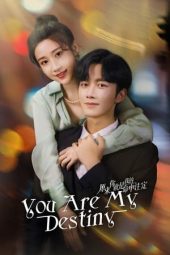 Nonton Film You Are My Destiny 2024 Sub Indo