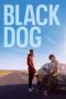Nonton Film Black Dog 2023 JF Sub Indo Nonton Film Black Dog 2023 JF Sub Indo