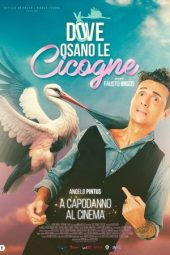 Nonton Film Dove osano le cicogne 2023 JF Sub Indo