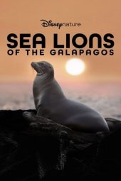 Nonton Film Sea Lions of the Galapagos 2025 JF Sub Indo