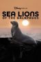 Nonton Film Sea Lions of the Galapagos 2025 JF Sub Indo Nonton Film Sea Lions of the Galapagos 2025 JF Sub Indo