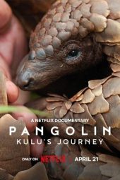 Nonton Film Pangolin: Kulu’s Journey 2025 JF Sub Indo