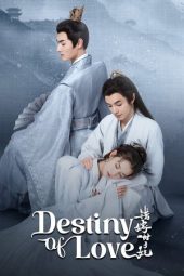 Nonton Film Destiny of Love 2025 Sub Indo