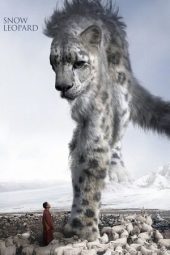 Nonton Film Snow Leopard 2023 JF Sub Indo