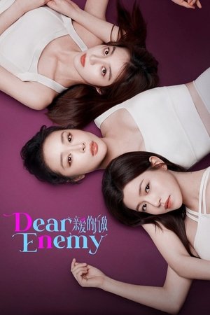Nonton Dear Enemy 2025 Sub Indo