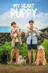Nonton Film My Heart Puppy 2023 JF Sub Indo