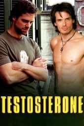 Nonton Film Testosterone 2003 JF Sub Indo