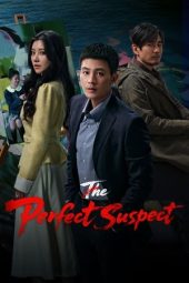 Nonton Film The Perfect Suspect 2025 Sub Indo