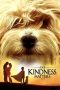 Nonton Film Kindness Matters 2018 JF Sub Indo Nonton Film Kindness Matters 2018 JF Sub Indo